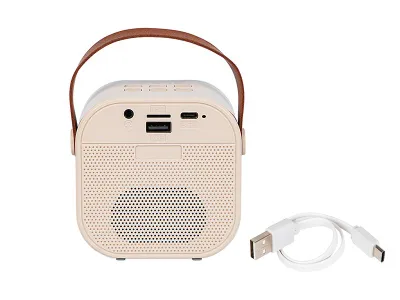 Altoparlant Bluetooth Bluetooth KARAOKE RGB 10W - 4