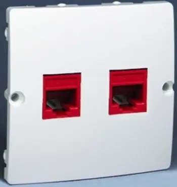 Prizë e dyfishtë kompjuteri Kontakt-Simon BASIC MODULE BMF52.02/11, 2xRJ45, cat.5e, e bardhë