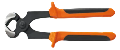 Pamja 1