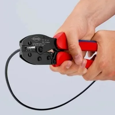 Pamja 4