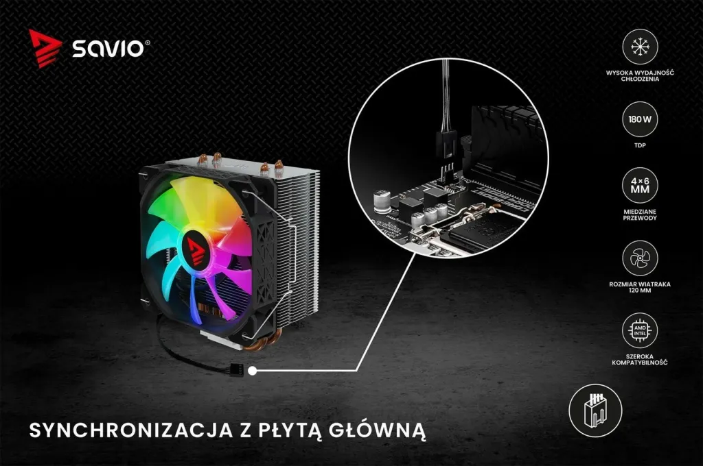 Pamja 20