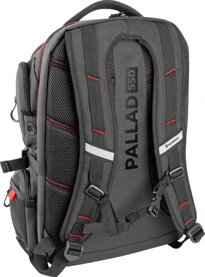 Pamja 10