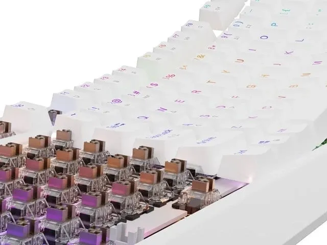 Tastierë Genesis Thor 230 TKL RGB Outemu Brown, e bardhë - 8
