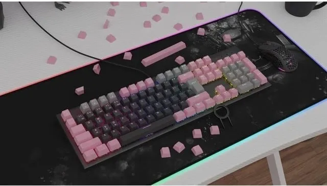 Pamja 4