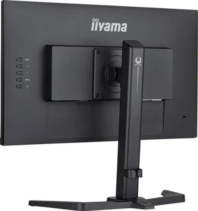 Pamja 8