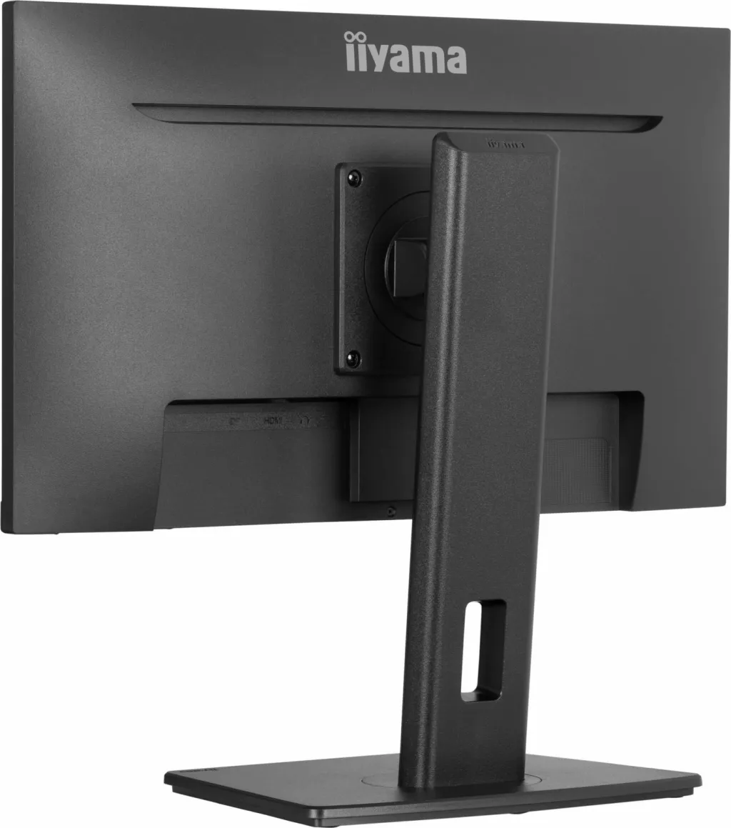 Pamja 11