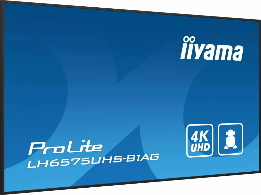Pamja 11