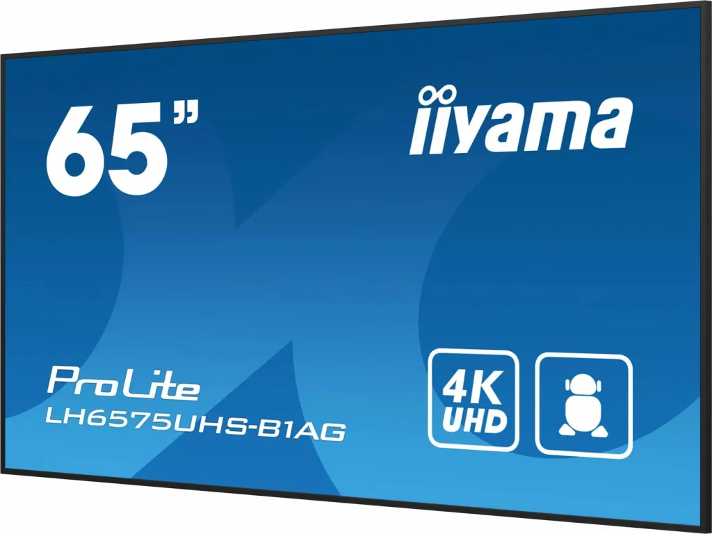 Pamja 12