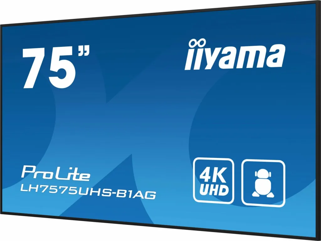 Pamja 13