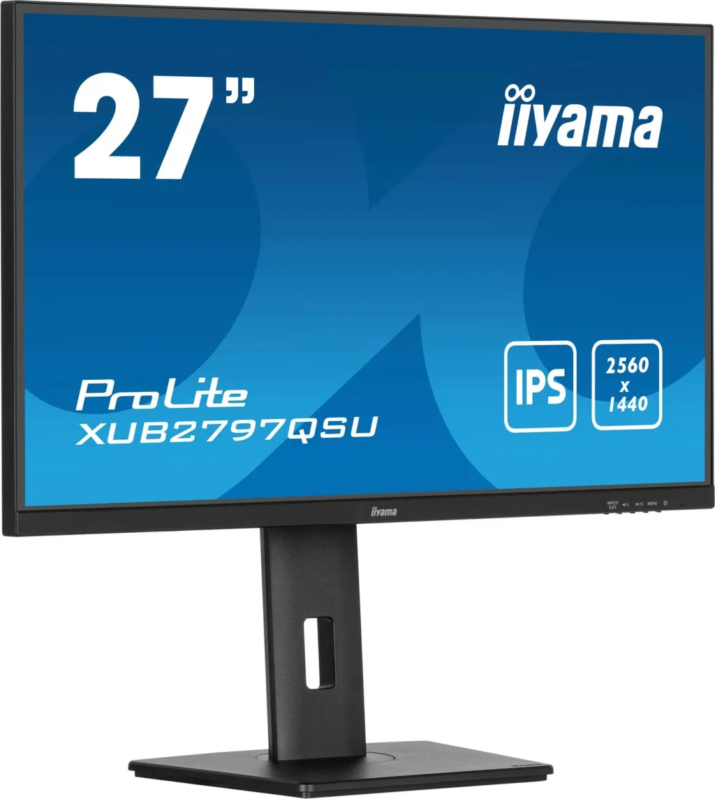 Pamja 6