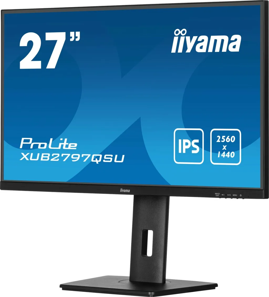 Pamja 8