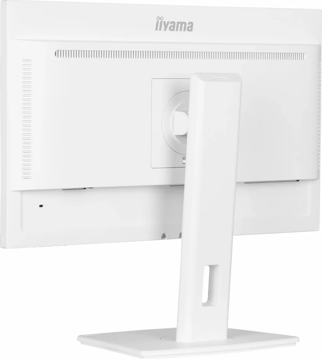 Pamja 3