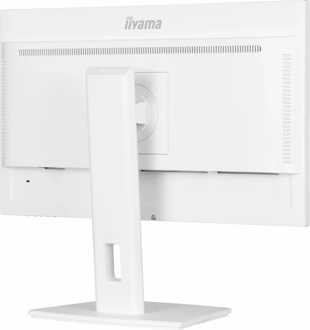 Pamja 4