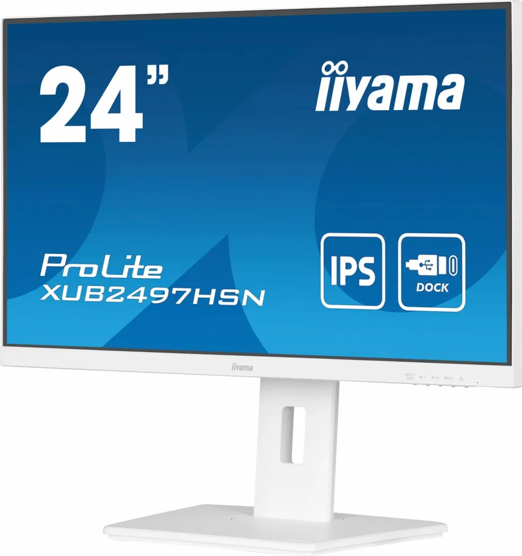 Pamja 8