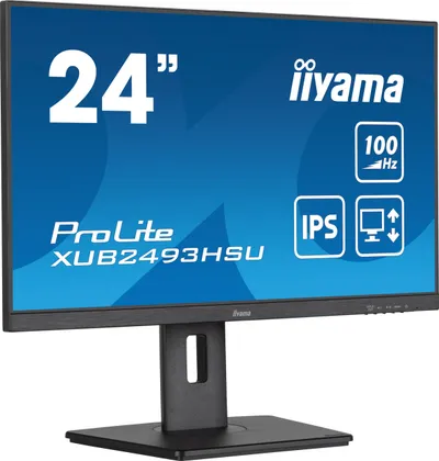Pamja 1