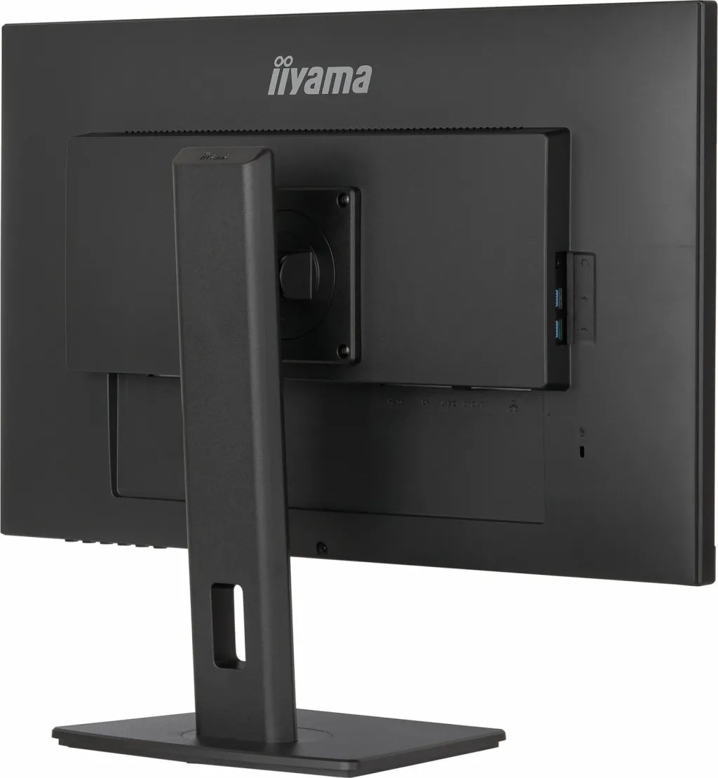 Pamja 11