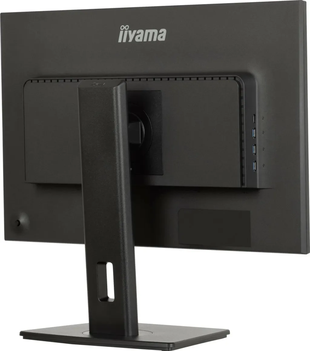 Pamja 11