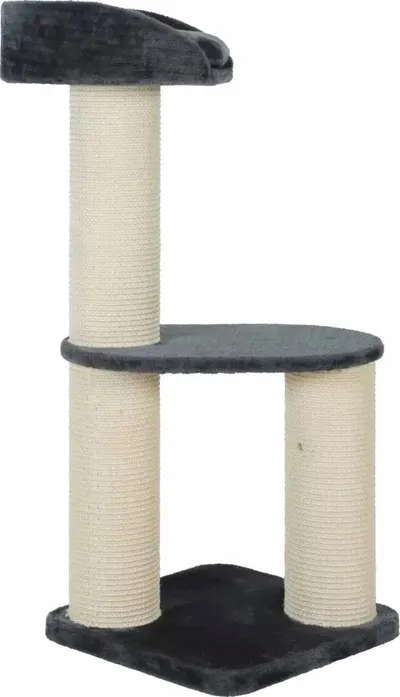 Pamja 2