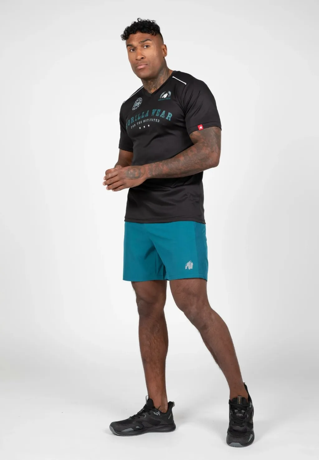 Pamja 4