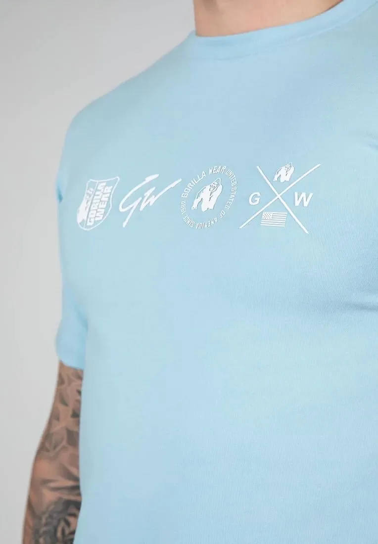 Swanton T-Shirt - Blue - 4