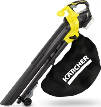 Fryrës gjethesh & fshesë me vakum Karcher, i zi / verdhë
