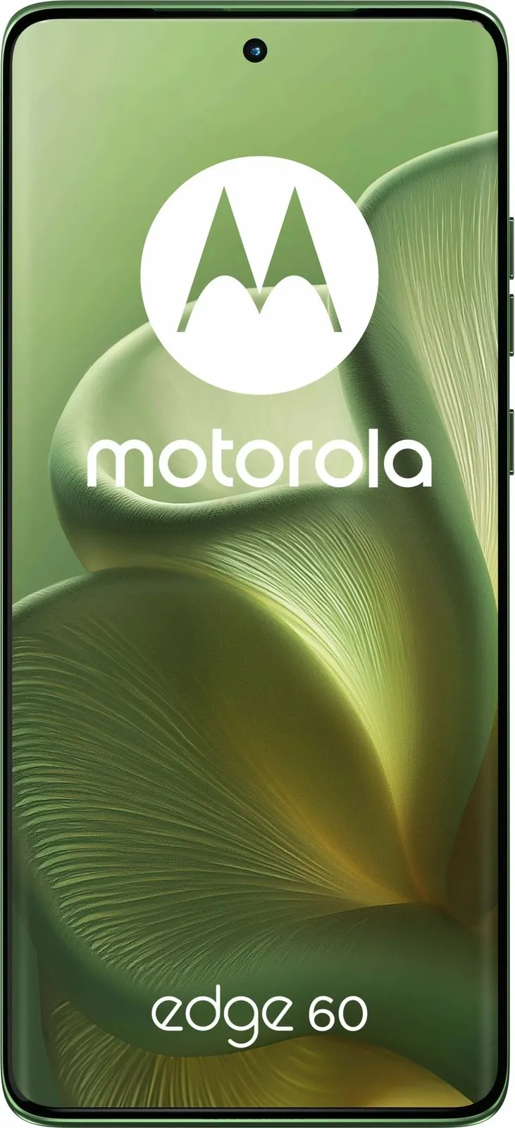 Celular Motorola Edge 60 5G 256GB gjelbër - 6