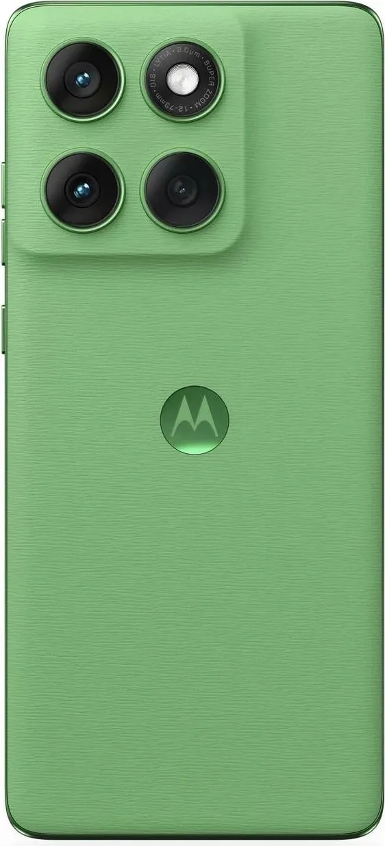 Pamja 6