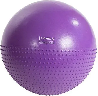 Top për ushtrime HMS YB03, 55 cm, vjollcë - 2