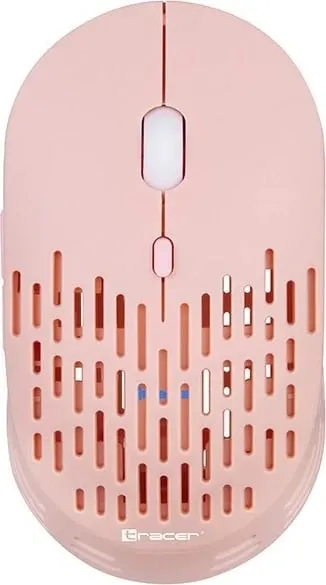 Pamja 3