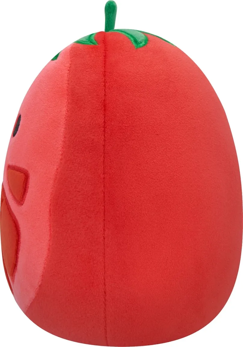 Pamja 4