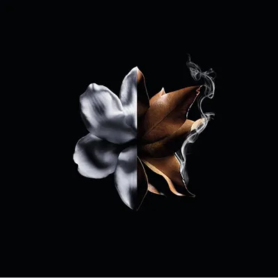 Eau de Parfum Givenchy L'Interdit Absolu Intense - 5