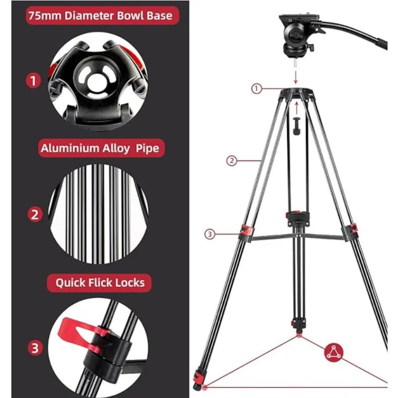 Video Tripod with Fluid Head 185cm - 3