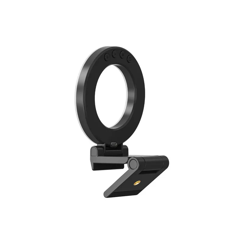 Video Conference Ring Light - 2