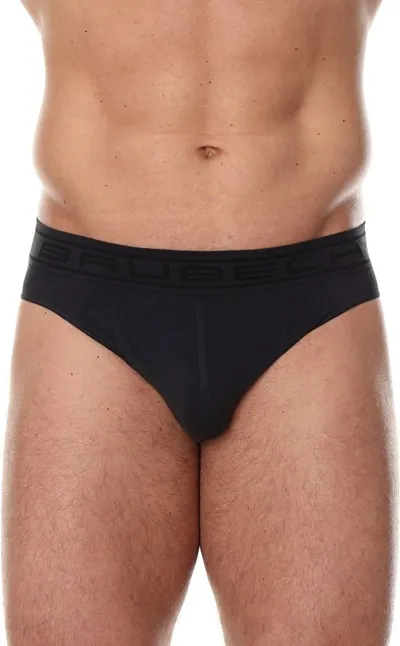 Pamja 3
