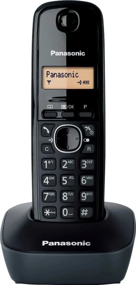 Pamja 3