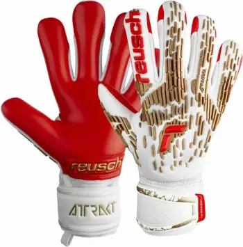 Doreza portieri Reusch Attrakt Freegel Silver për meshkuj