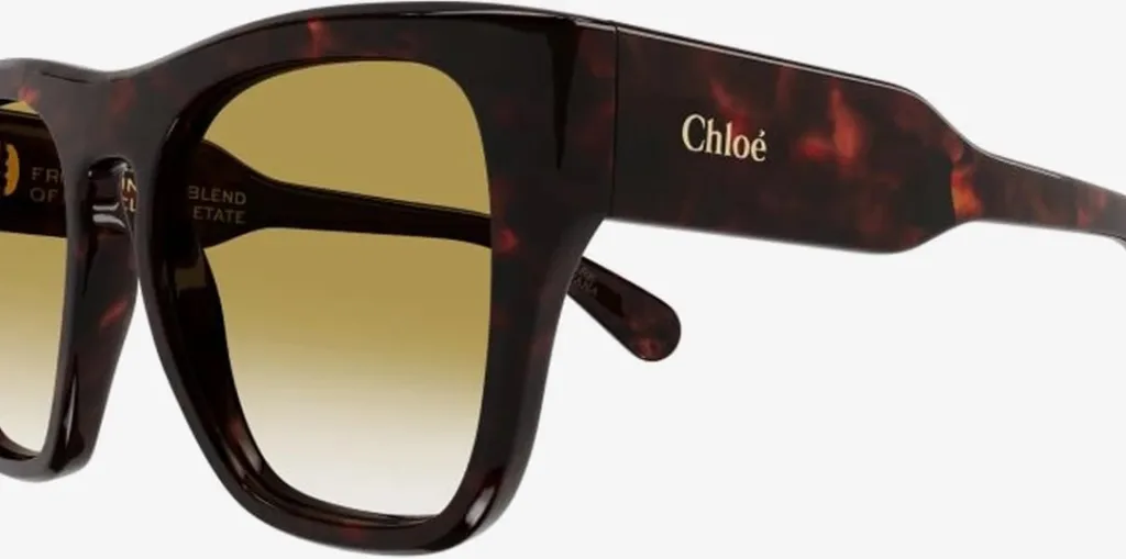 Chloe CH0149S-002 55 - 2