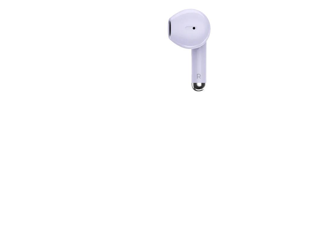 Pamja 5