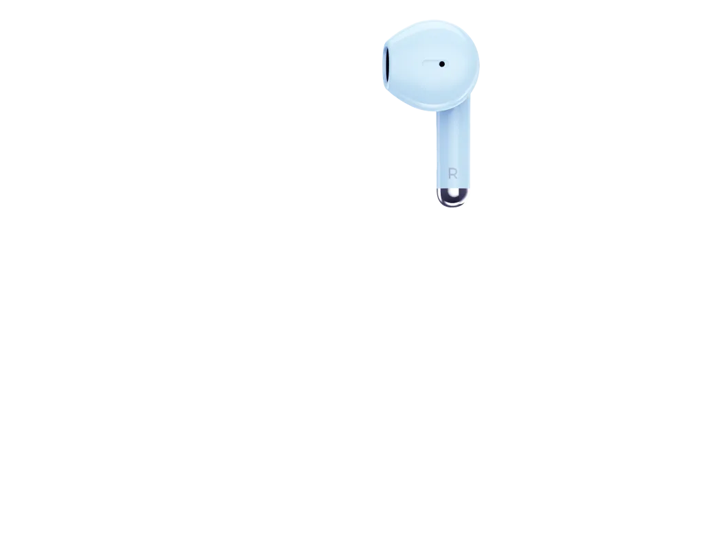 Pamja 5