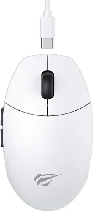 Pamja 1