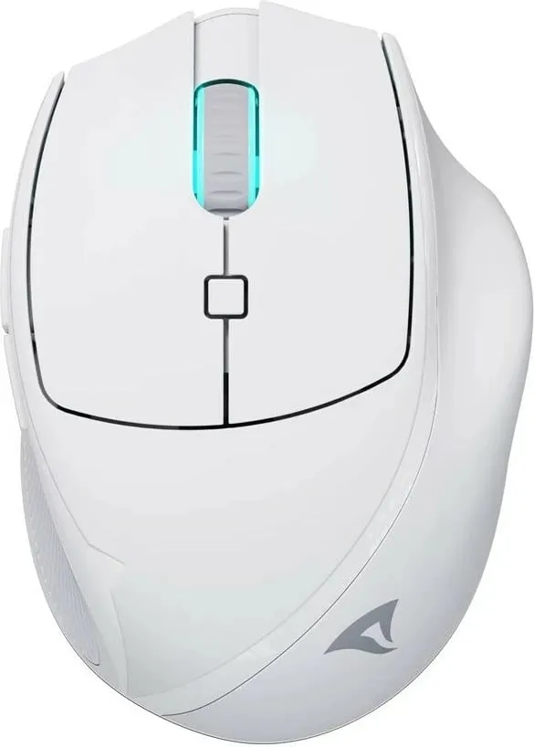 Pamja 1