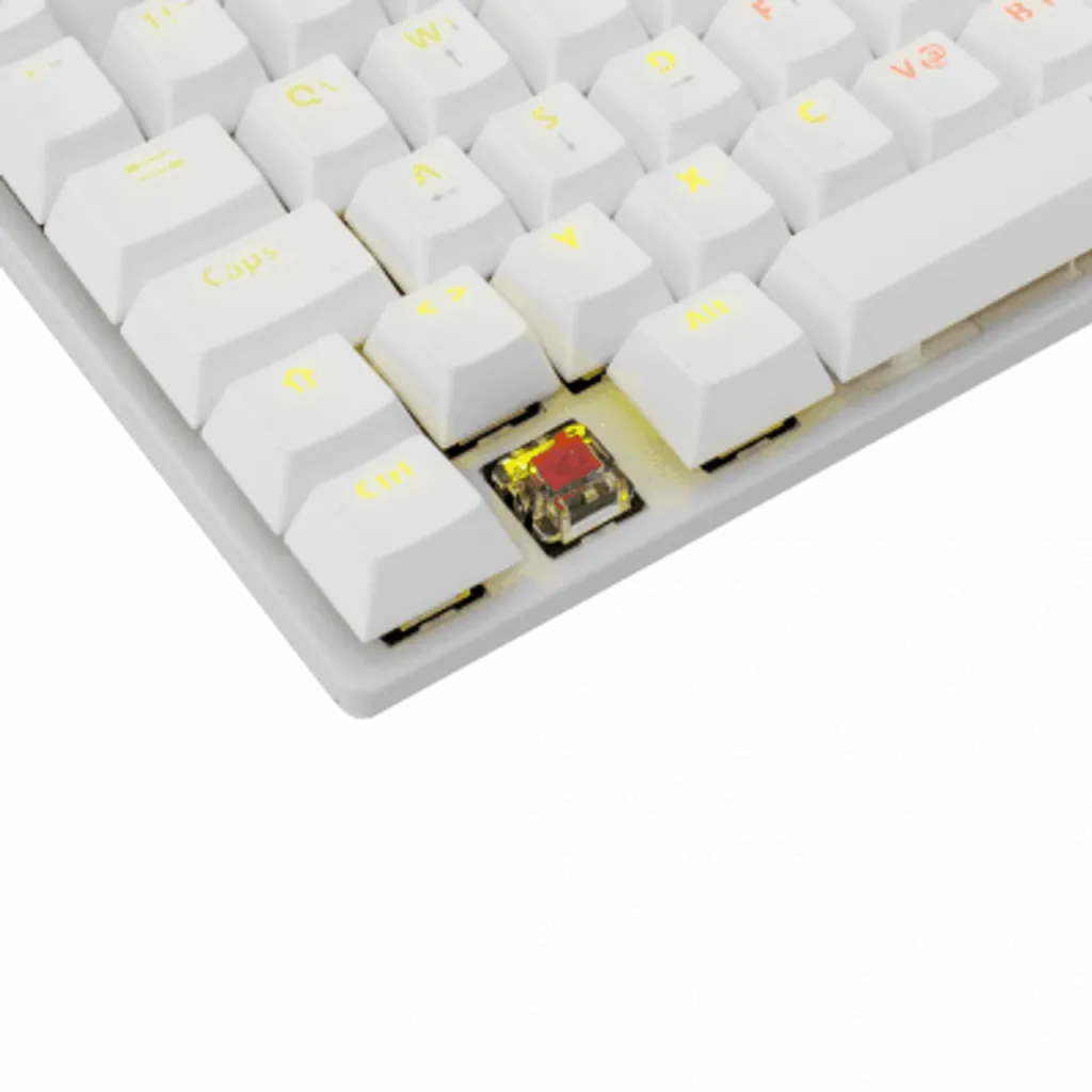 Pamja 3