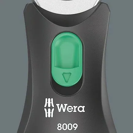Pamja 8