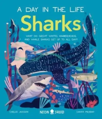 Day In The Life Of Sharks - Carlee Jackson