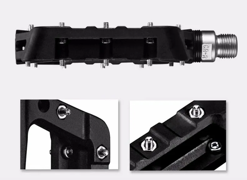 Pamja 8