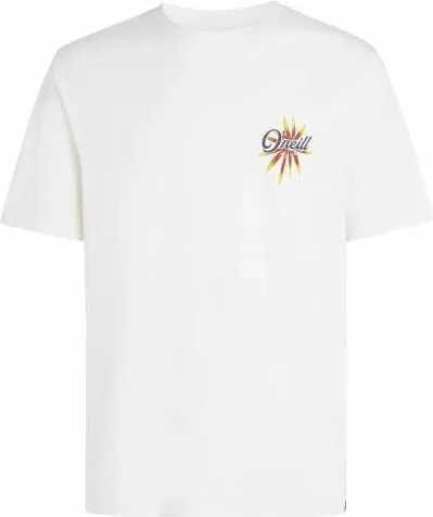 Pamja 1