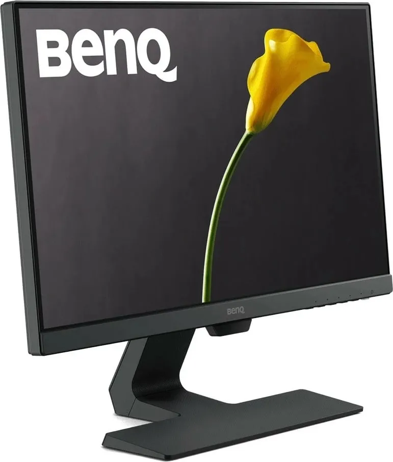 Pamja 8