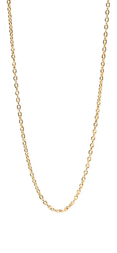 Pamja 1