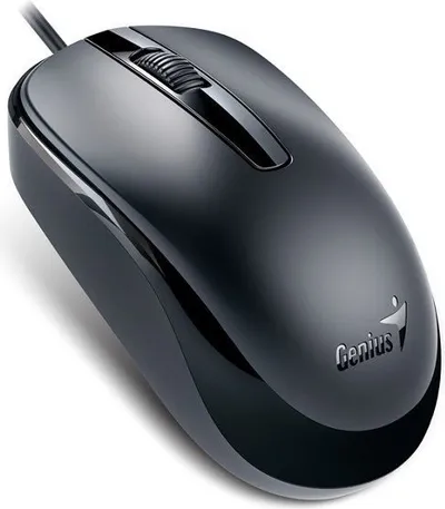 Pamja 1