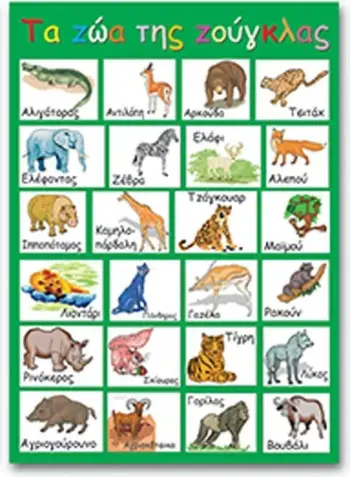 Poster edukativ NEXT "Kafshët e Xhunglës", 50x70cm